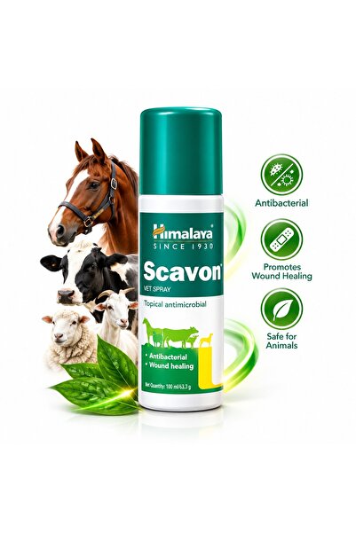 Himalaya Scavon Vet Spray 100ml – Antimicrobial Wound Care for Animals
