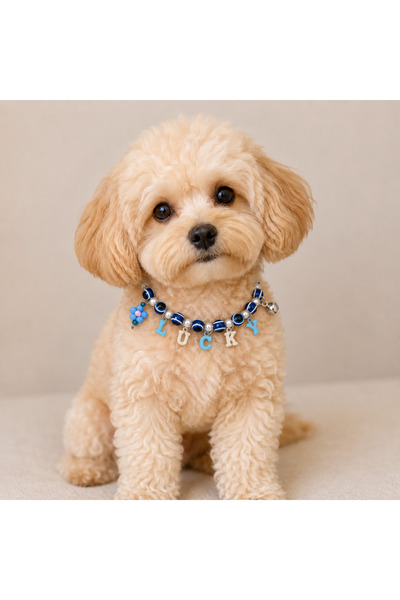 Vina Pet Vina Beads İsme Özel Charmlı Kedi Köpek Kolyesi - İsimli Tasma