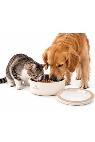 Stanley Everyday Pet Bowl 3 CUPS / 24oz Hayvan Mama Su Kabı