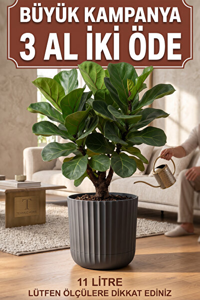 TEMMUZ HOME 11 L Tabaklı Büyük Boy Plastik Çiçeklik - Salon & Ofis Dekoratif ...