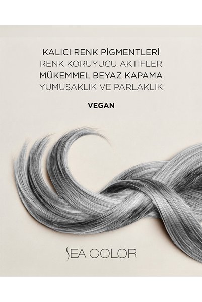 Sea Color Set Saç Boyası 0.02 Gümüş gri