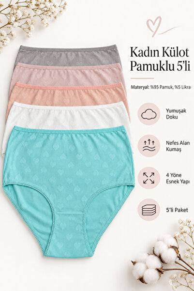 Nicoletta Salmon Women's Panties Large Size 5 Pack Lycra