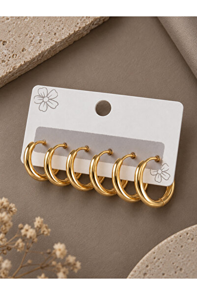 serelya 316L Steel Gold Color Hoop Model Women's Earring Set