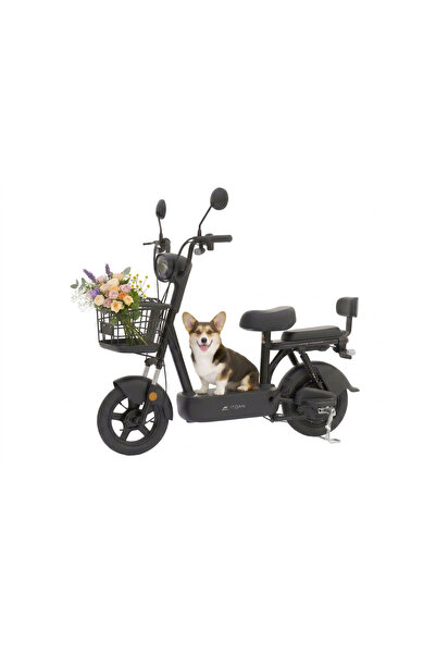 ITQAN RASEEL Seated Electric Scooter for Adults, 450W Motor, 48V 12Ah Battery...