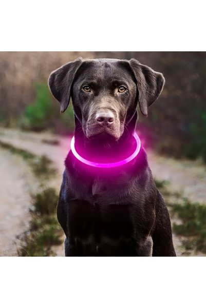 Choice طوق كلب وردي اللون مزود بإضاءة LED ومضاد للضياع وقلادة كلب قابلة لإعاد...