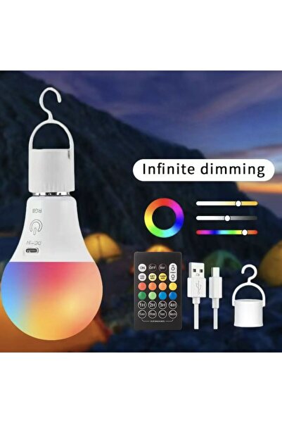 Choice مصباح LED قابل للشحن بقوة 2 واط مع جهاز تحكم عن بعد، مصابيح تعمل بالبط...