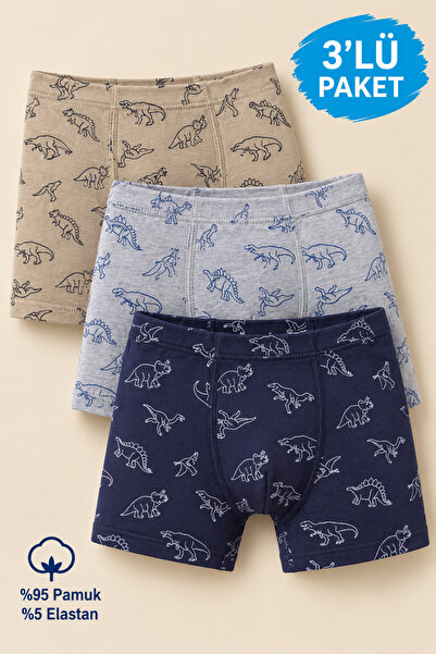 Cicito Boy's Cotton Lycra με σχέδιο Άνετη εφαρμογή Boxer 3 Pack 8121