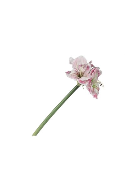 Mikasa Moor Pembe Yapay Amaryllis 73cm