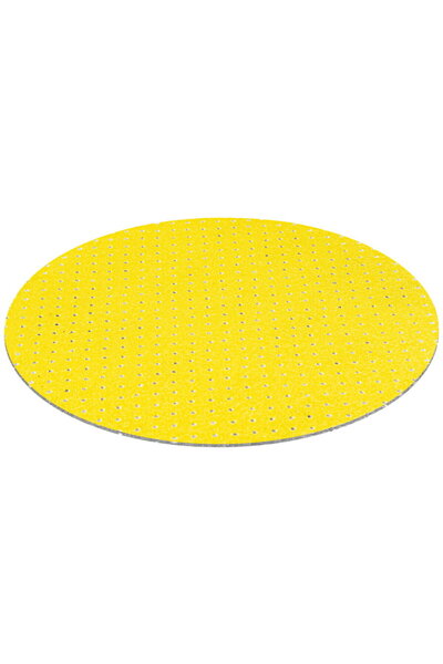 RAIDER Disc smirghel VELCRO pt. slefuitoare Ø180mm granulatie 80