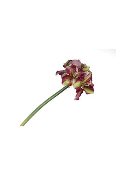 Mikasa Moor Eflatun Yeşil Yapay Amaryllis 73cm