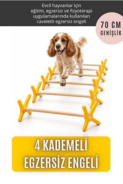 pawdaz - Köpekler ve kediler için caveletti egzersiz engeli, 4 kademeli