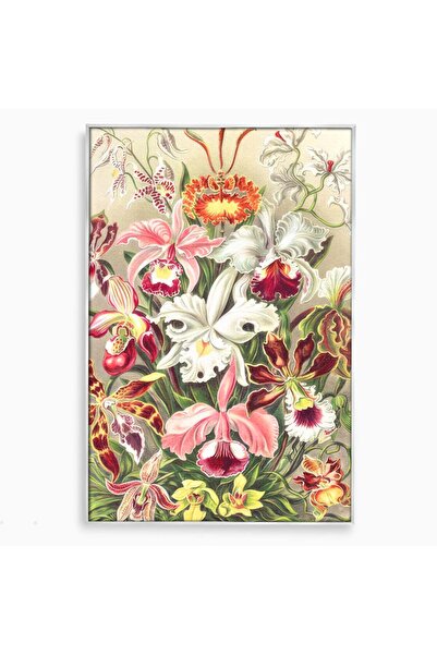 Luxcanva Tablou Canvas Orhidee Multicolore 40x60 cm cu Rama Argintiu Culori F...