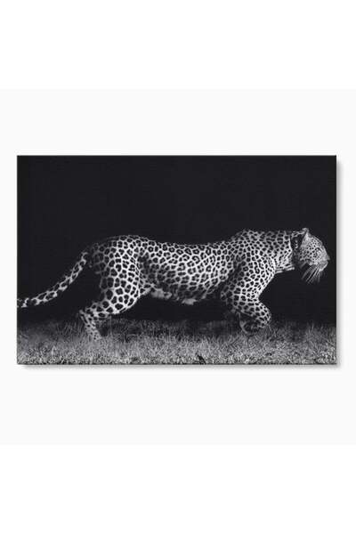 Luxcanva Tablou Canvas Regele Nevazut 70x50 cm pe Sasiu Lemn Regele Nevazut J...