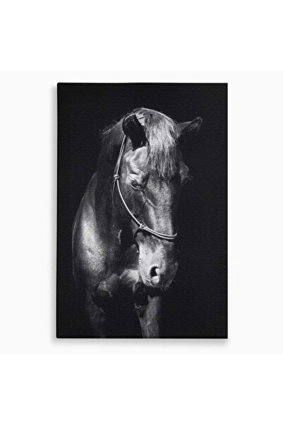 Luxcanva Tablou Canvas Eleganta in Umbre 70x100 cm pe Sasiu Lemn Eleganta in ...