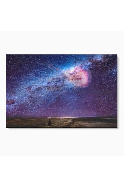 Luxcanva Tablou Canvas Meduza Cosmica 70x50 cm pe Sasiu Lemn Meduza Cosmica S...