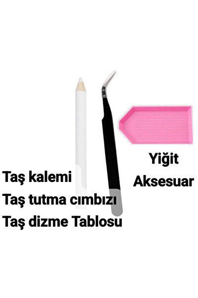 yiğit aksesuar Set of 3 Stone Picking Pens, Stone Picking Tweezers, and Stone...