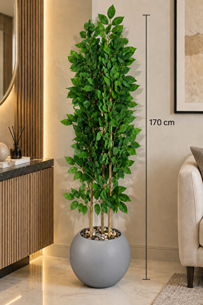 CENTRHOME 170 cm Three-Branch Ficus Tree with Macaroon