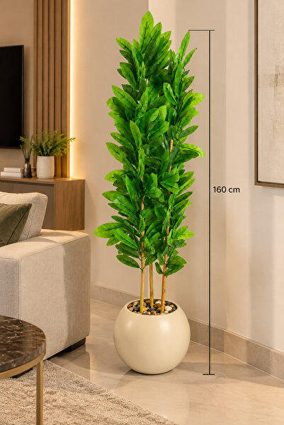 CENTRHOME Zamia Tree with Three Branches, 160 cm Tall, with a Corked Trunk.