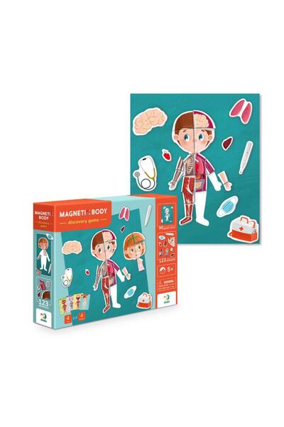 dodotoys Dodo Toys Μαγνητικό Εκπαιδευτικό Παιχνίδι Ανατομίας "Ανθρώπινο Σώμα ...
