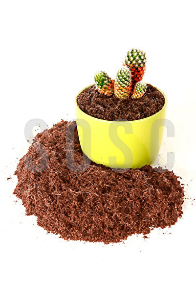 Hindistan Cevizi Torfu%100 Doğal Torf - Cocopeat Hindistan Cevizi Lifi - Doğal Bitki Toprağı 1 Lt