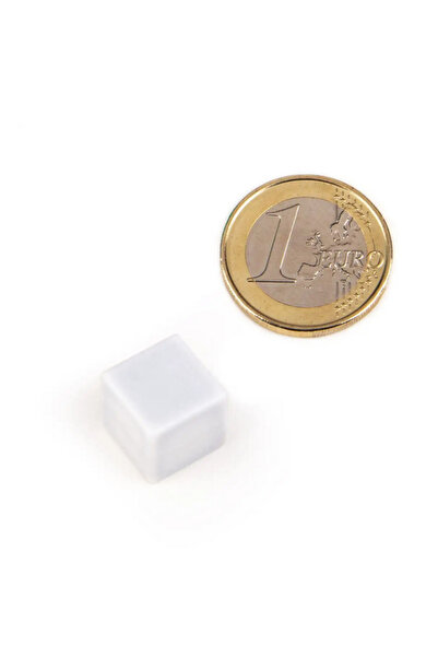 Magnitech Μαγνήτης Κύβος 13x13x13mm με Λευκό Πλαστικό Περίβλημα Νεοδυμίου Δύν...