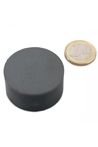 Magnitech Μαγνητικός Δίσκος Φ25x20mm Φερρίτης Δύναμη Έλξης 2.4kg