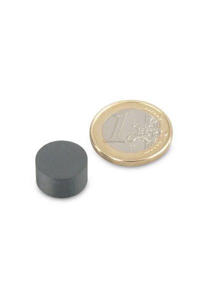 Magnitech Μαγνητικός Δίσκος Φ14x8mm Φερρίτη με Δύναμη Έλξης 550g