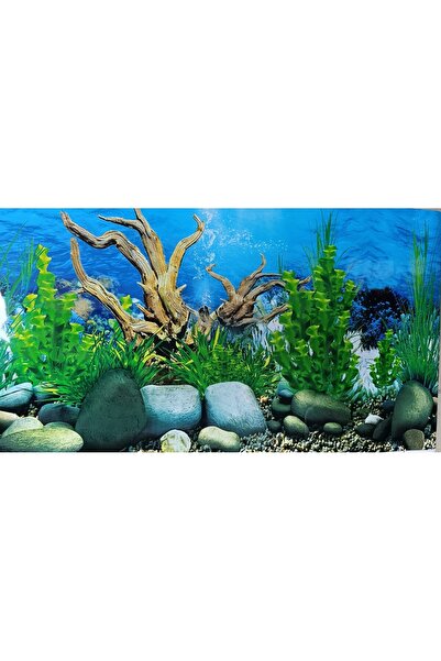 canlipetshop Arka Fon (Amazon Nehri) Uzunluk 50 Cm (YÜKSEKLİK 60 CM) No:9091