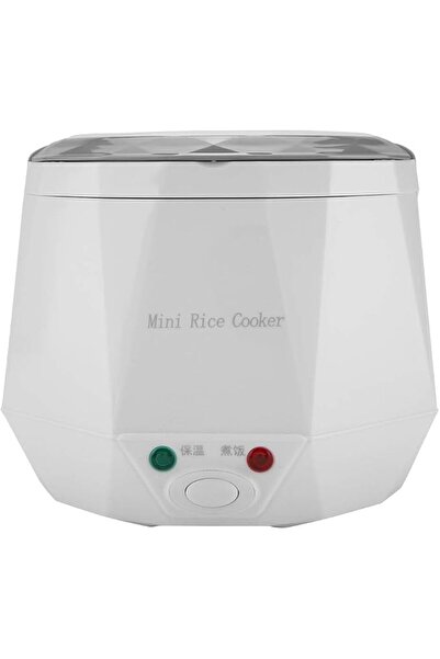 GENERAL Portable Electric Rice Cooker for Car and Home, 12V, 100W, 1.3L Capac...
