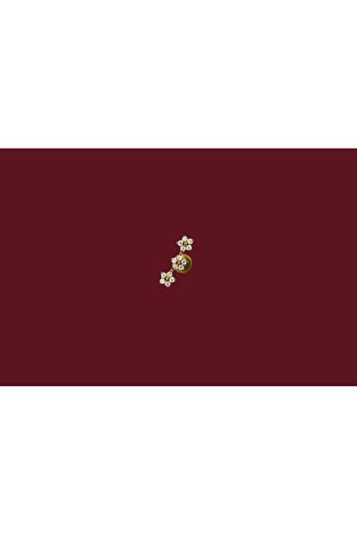 Melayk Titanyum Seri Zirkon Yıldız Taşlı Piercing 8 mm | Tragus, Helix, Conch...