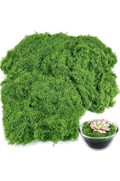 GENERAL Artificial Moss for Crafts, 100g Fake Green Moss for Potted Plants, F...