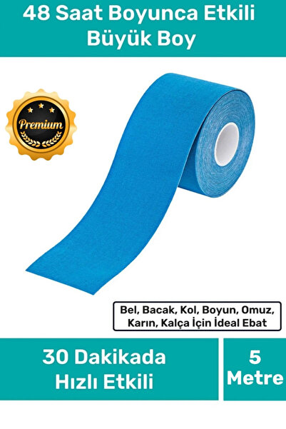 Premium Kore Ginseng Gümüş İyonlu Bel Bacak Kol Boyun Sırt Omuz Karın Kalça Ağrı IsıI Bandı 5cm x 5m