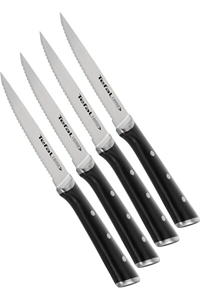 Rowenta TEFAL Ice Force Set of 4 Steak Knives | 11 cm | Kitchen Knife | Germa...
