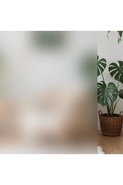 SKY TOUCH SKY-TOUCH Frosted Window Film : Removable Static Cling One Way Priv...