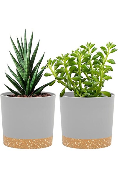 GENERAL QCQHDU Plant Pots Set of 2 Pack 5 inch,Planters for Indoor Plants wit...
