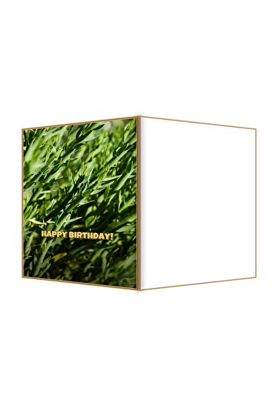 OEM Birthday card with fresh tarragon sprigs theme, 13.3x19.4cm folded