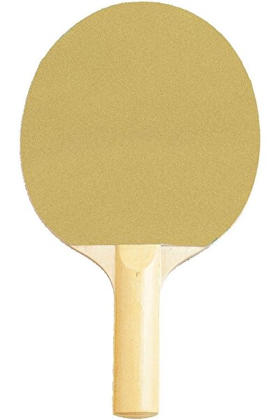 Champion Sports Spor Kitabı