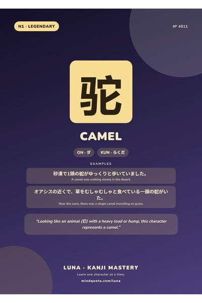 OEM Poster Infografic Kanji Cămilă, Scriere Japoneză, Carton 250g, Format A4