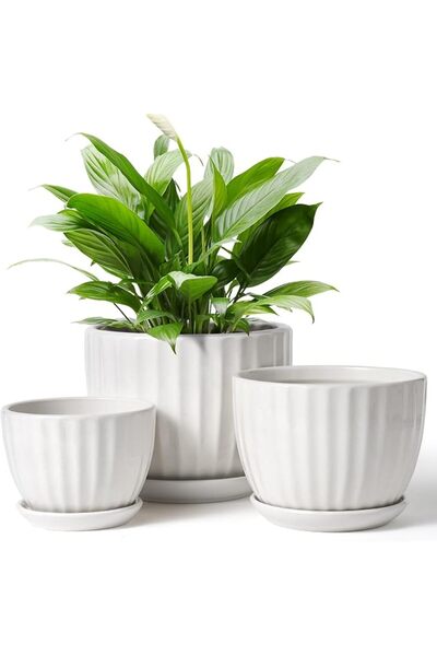 GENERAL STHIE 4/5/6 Inches Ceramic Plant Pots with Drainage Holes and Saucers...