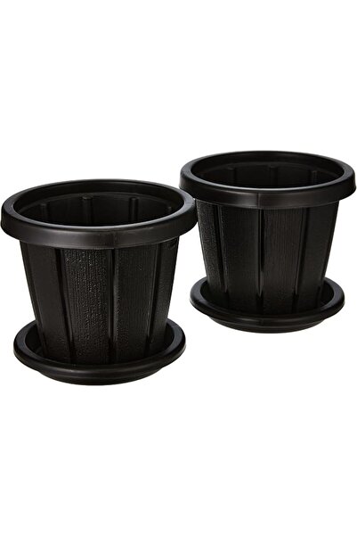 Cosmoplast طقم أصيص زهور سيدارجرين 6 بوصة مع صينية (قطعتان)