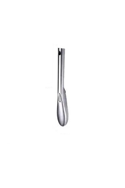 Generic Silver Stainless Steel Fish Scaler 805059