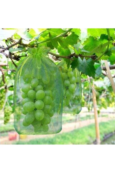 DAVIDAMI CONCEPT Set 20 Pungi de Protectie pentru Fructe si Legume, dimensiun...