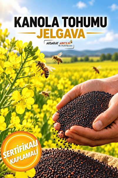 Aksaray Arıcılık 1 KG - Kanola Tohumu Jelgava (Arı Otu Tohumu)