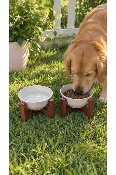 cnyr AHŞAP STANTLI KEDİ - KÖPEK MAMA VE SU KABI, PLASTİK KASELİ