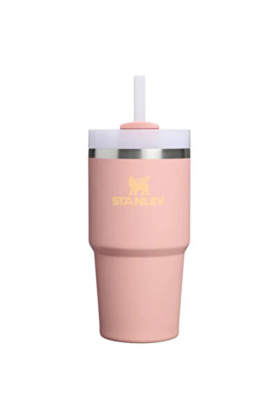 Stanley The Quencher H2.O Flowstate Tumbler 0.59L Thermos with Straw 10-21041...