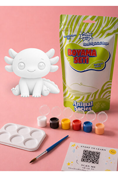 Aksolotl Boyama Seti | Hobi ve Eğitici Aktivite İçin 3D Aksolotl Boyama Seti | Animal Serisi