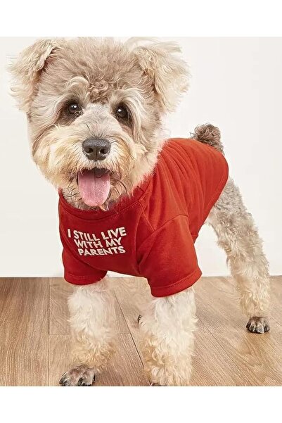 HipGirl Cute Dog Clothes,Dog T Shirt for Medium Dogs.Dog Clothes for Small Do...
