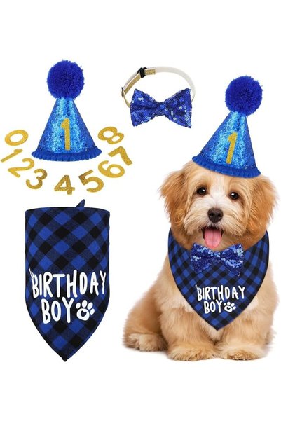 WEZCHUGHAOL Dog Birthday Party Supplies Birthday Boy Girl Cake Bandana Triang...