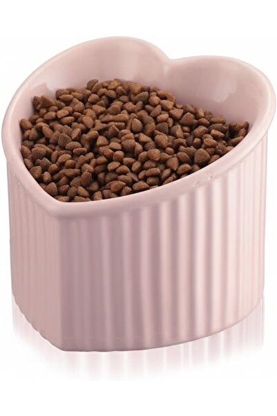 AZONEE Elevated Ceramic Cat Bowls, Tilted Anti-Vomit Raised Pet Bowls for Cat...