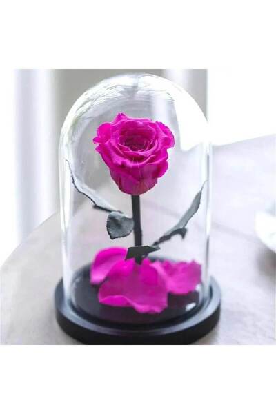 Trandafir Criogenat Trandafir conservat Cyclamen 12 x 25 cm